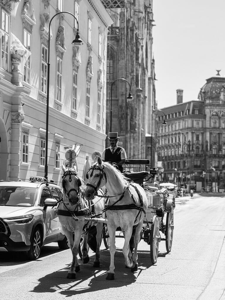 A Summer in Vienna Through My Lens